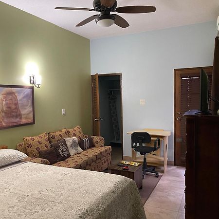 Le Quad - One Bedroom & Studio Apt - Private, Spacious & Secured Kingston Luaran gambar